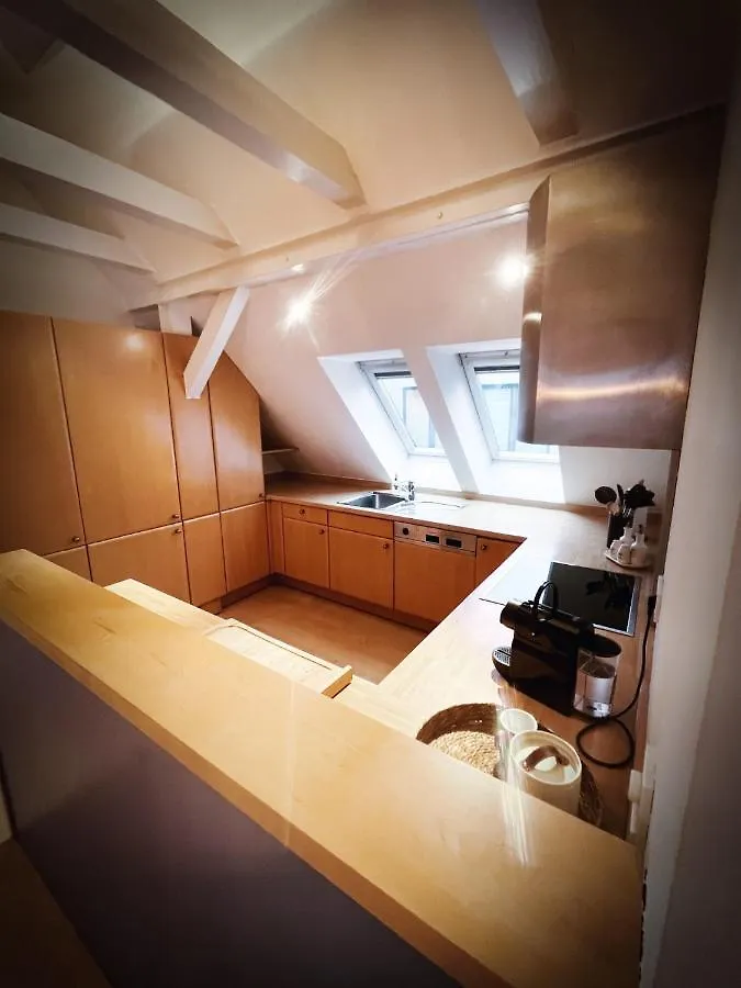 Loft-Panoramablick-Hafen & Elbe! Apartment Hamburg